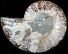 Agatized Ammonite Fossil (Half) #39610-1